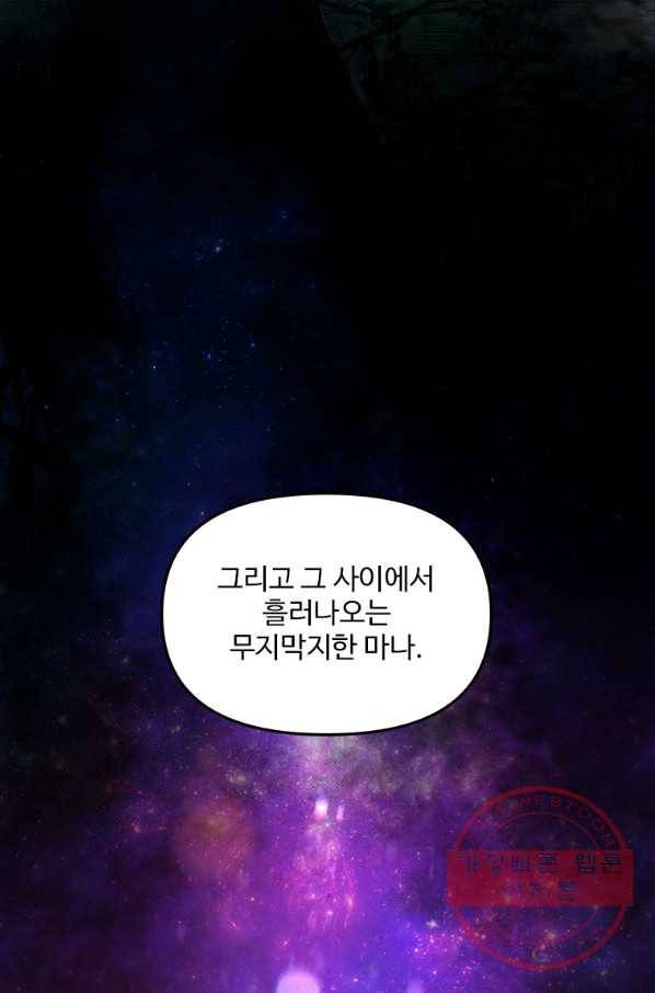 재능 삼킨 마법사 2화 22