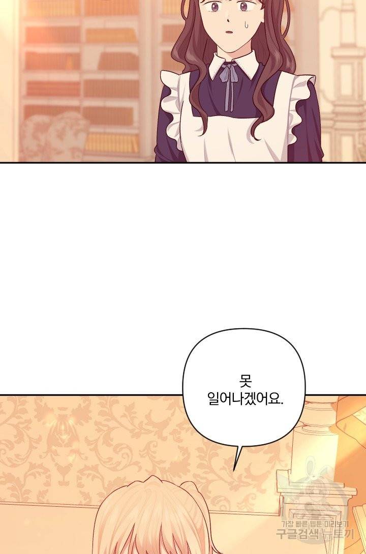 TL 소설 속 시녀가 되었습니다 59화 66