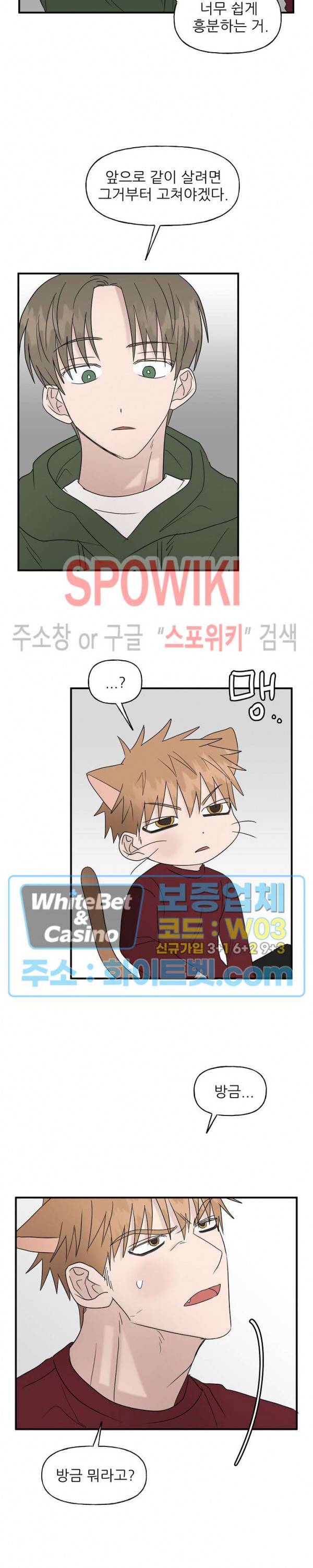 행운은 고양이로부터 22화 최종화 4