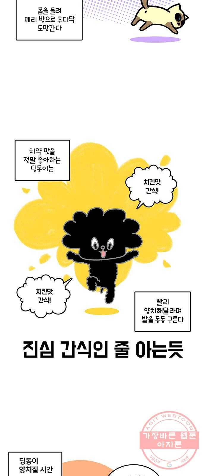 윌유메리미 시즌2 533화 (마무리)딩동써니복만 건강관리 10_행복 3