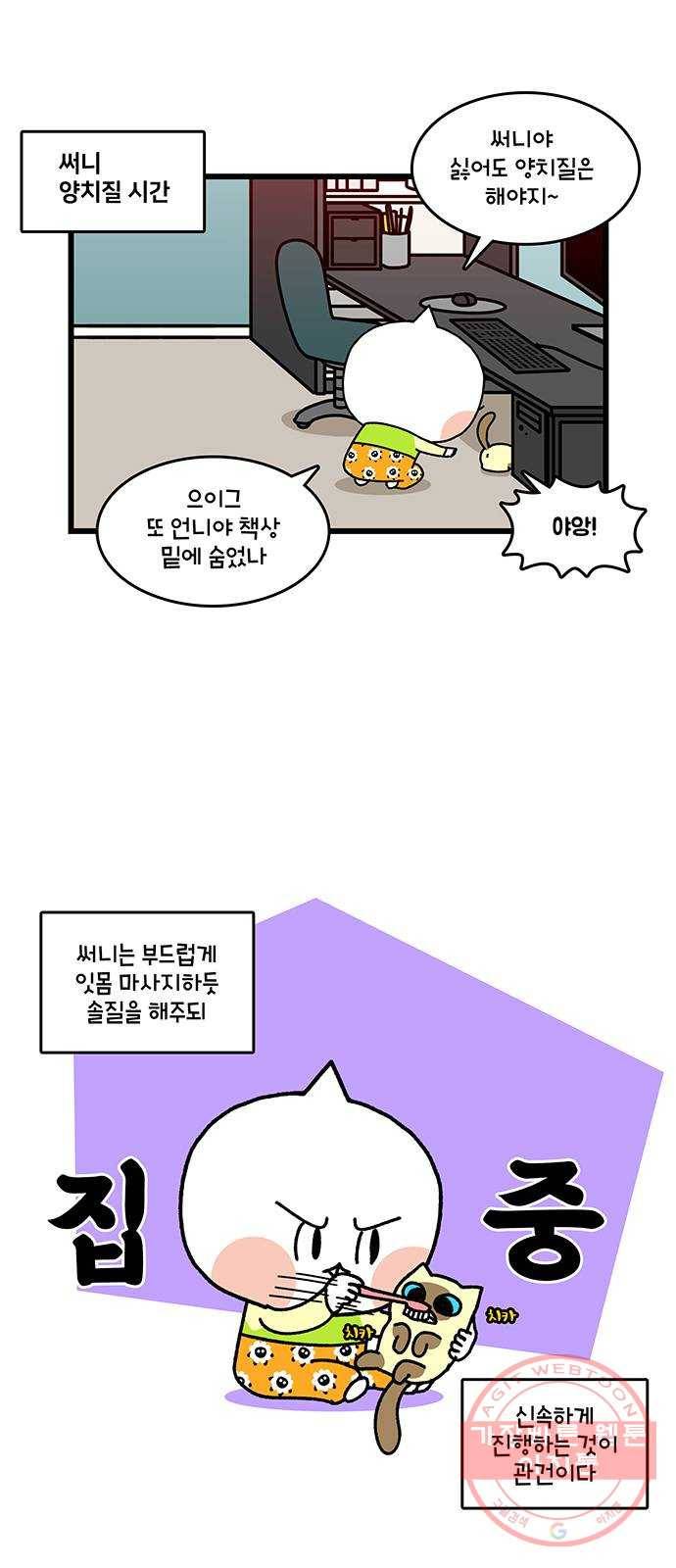 윌유메리미 시즌2 533화 (마무리)딩동써니복만 건강관리 10_행복 5