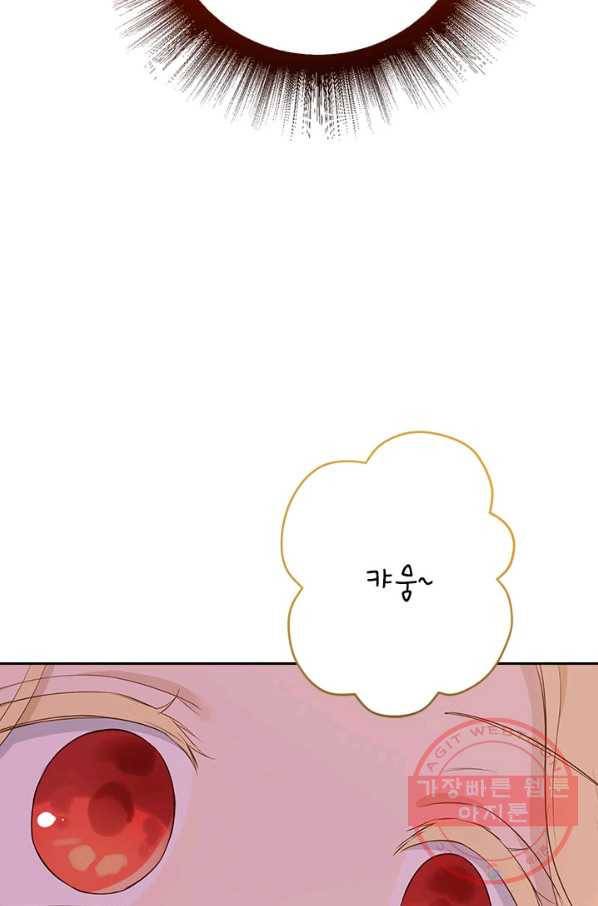 사실은 내가 진짜였다 67화 61