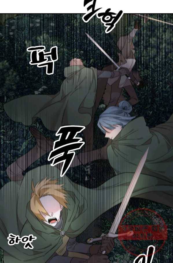 황비님? 황비님!  105화 13