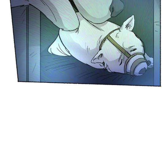 마른 가지에 바람처럼 74화 276