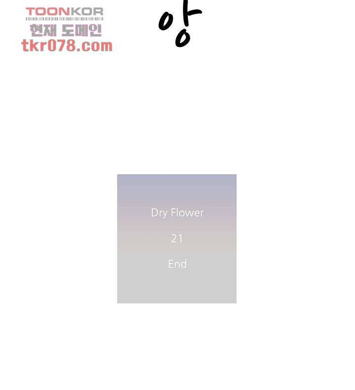 드라이 플라워 (Dry flower) 21화 49