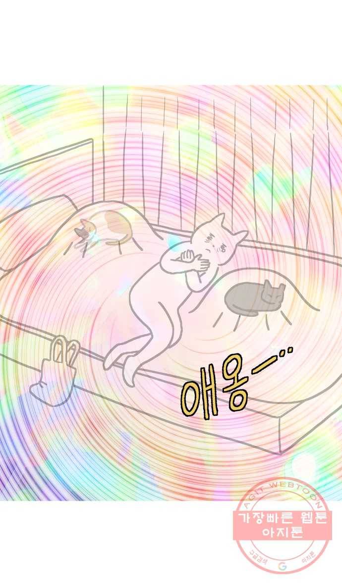 애옹식당 8화 볼록볼록 라비올리 7