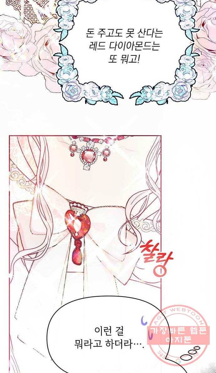 대공님, 실수였어요! 19화 27