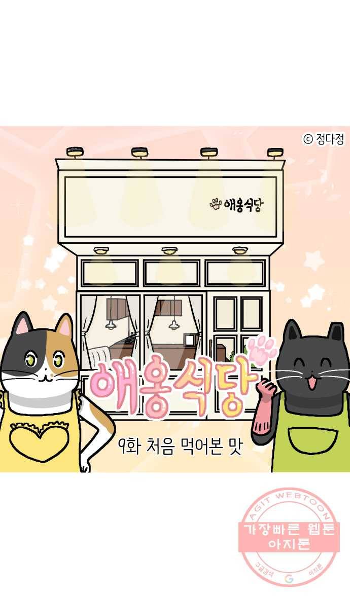 애옹식당 9화 처음 먹어본 맛 3
