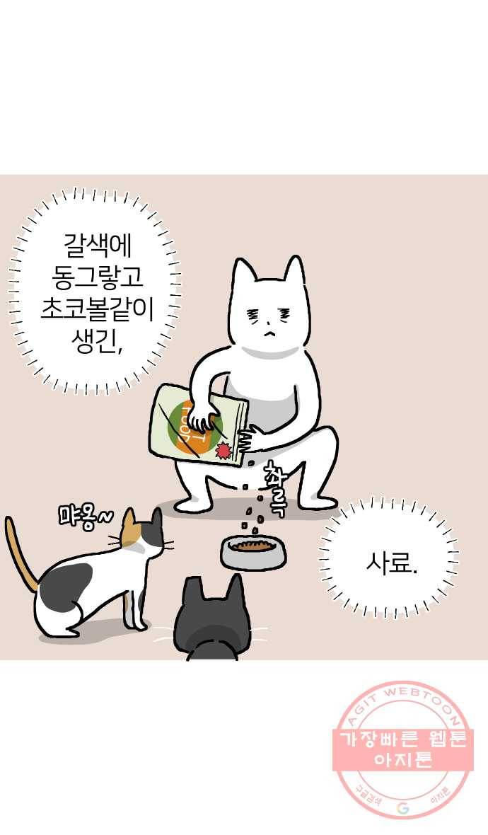 애옹식당 9화 처음 먹어본 맛 5