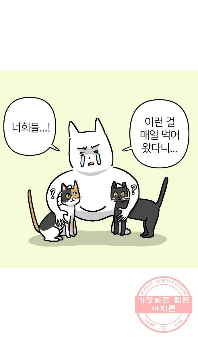 애옹식당 9화 처음 먹어본 맛 9
