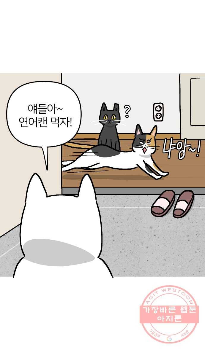 애옹식당 9화 처음 먹어본 맛 12