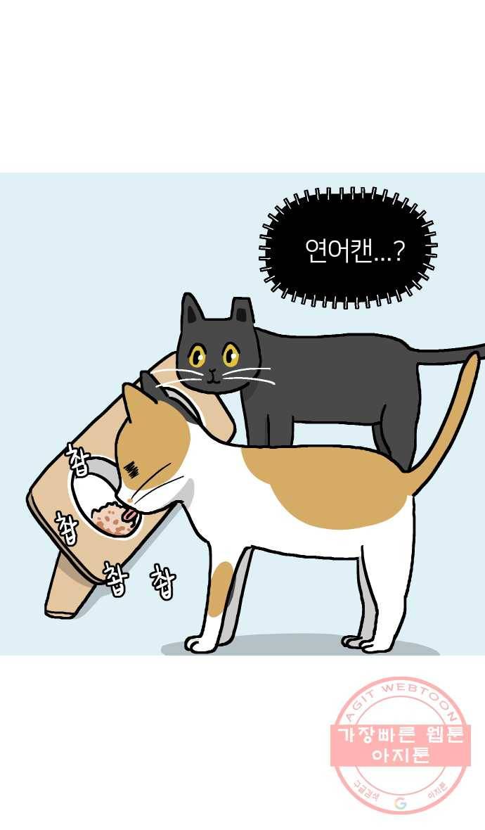 애옹식당 9화 처음 먹어본 맛 13