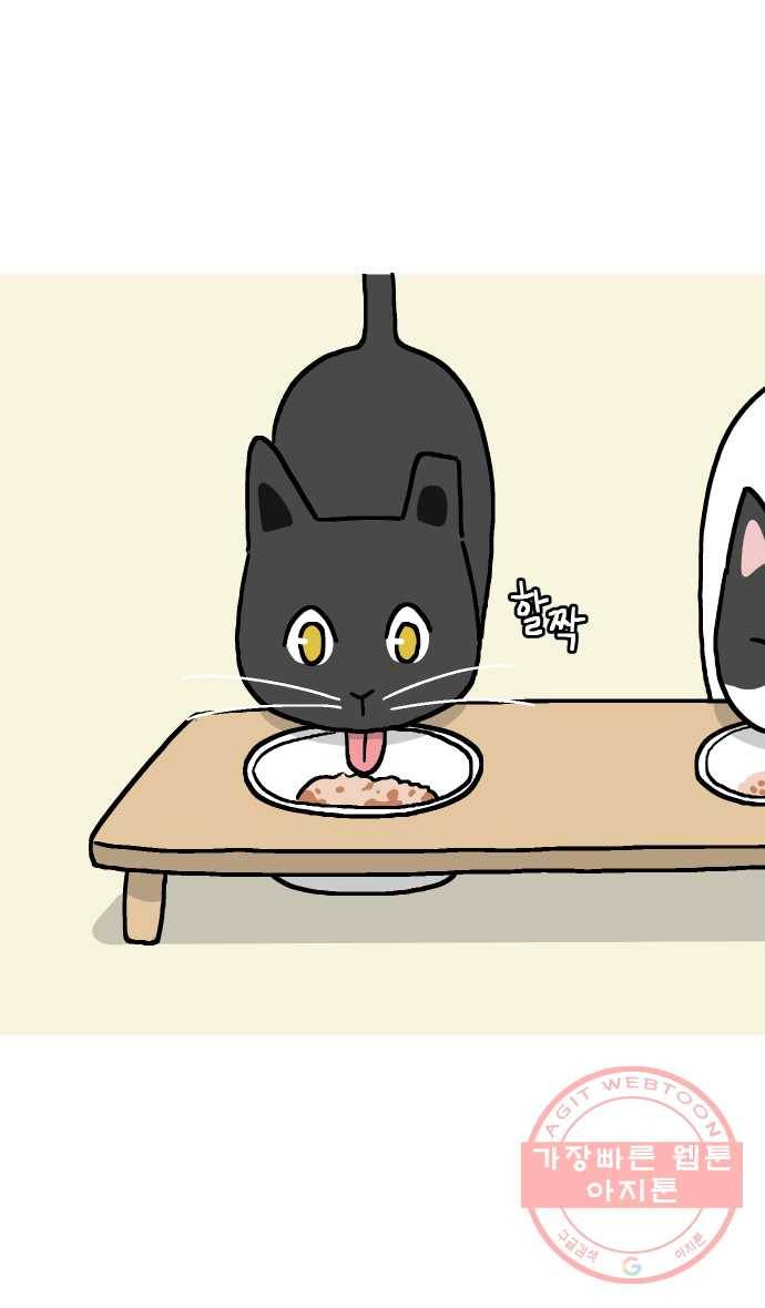 애옹식당 9화 처음 먹어본 맛 14