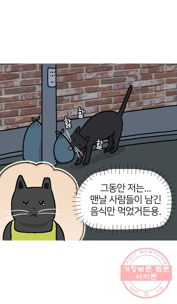 애옹식당 9화 처음 먹어본 맛 18