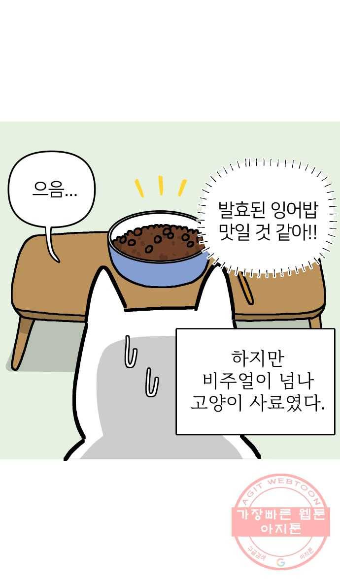 애옹식당 9화 처음 먹어본 맛 40