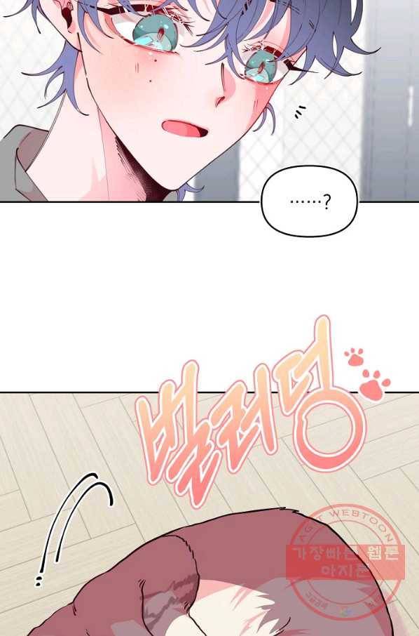 이 소설이 끝나기 전에, 40화 7