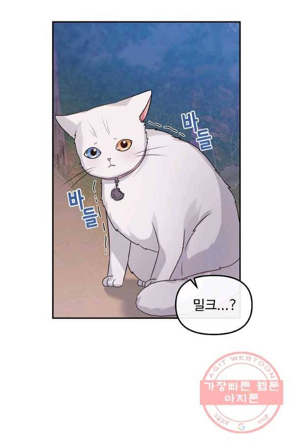 우리집 고양이는 베지테리언 22화 실종된 고양이를 찾다 44