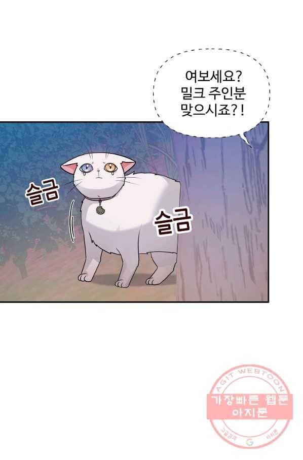 우리집 고양이는 베지테리언 22화 실종된 고양이를 찾다 46