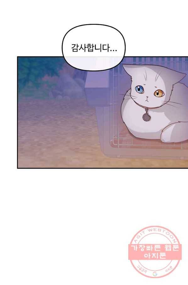 우리집 고양이는 베지테리언 22화 실종된 고양이를 찾다 49