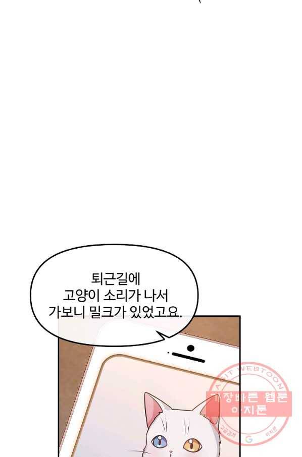 우리집 고양이는 베지테리언 22화 실종된 고양이를 찾다 53