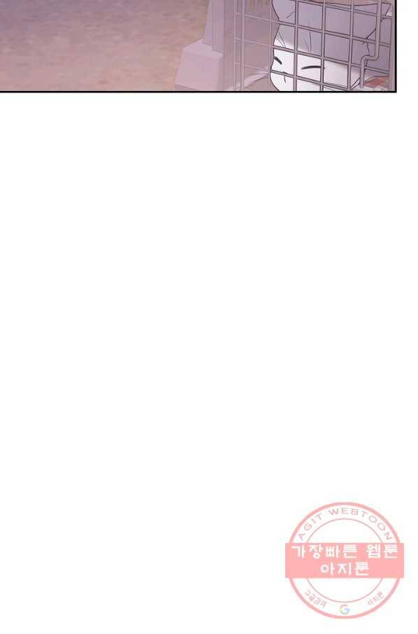 우리집 고양이는 베지테리언 22화 실종된 고양이를 찾다 61