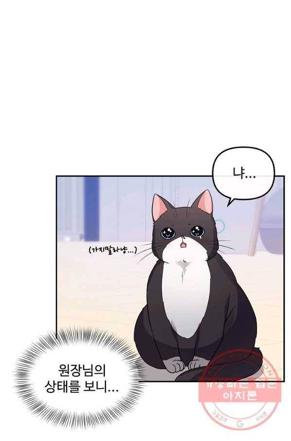 우리집 고양이는 베지테리언 23화 자세히 알고 싶어요 25