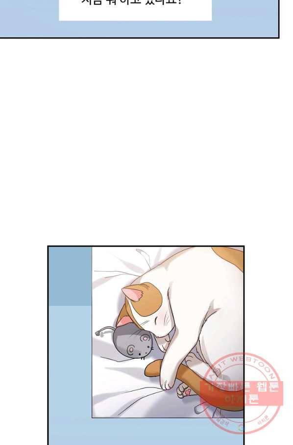 우리집 고양이는 베지테리언 23화 자세히 알고 싶어요 44