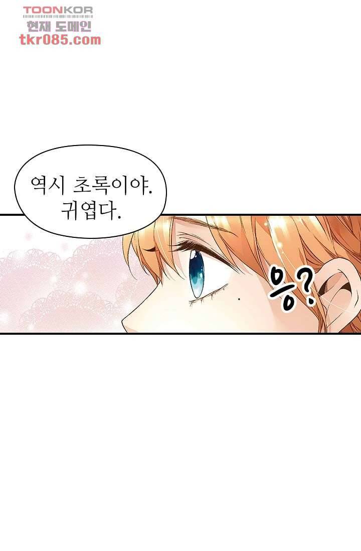 사랑은 앵초색 18화 27
