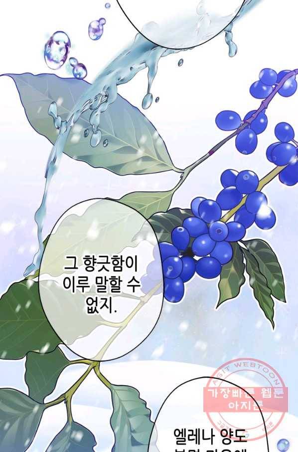 마법사는 가난해 35화 65