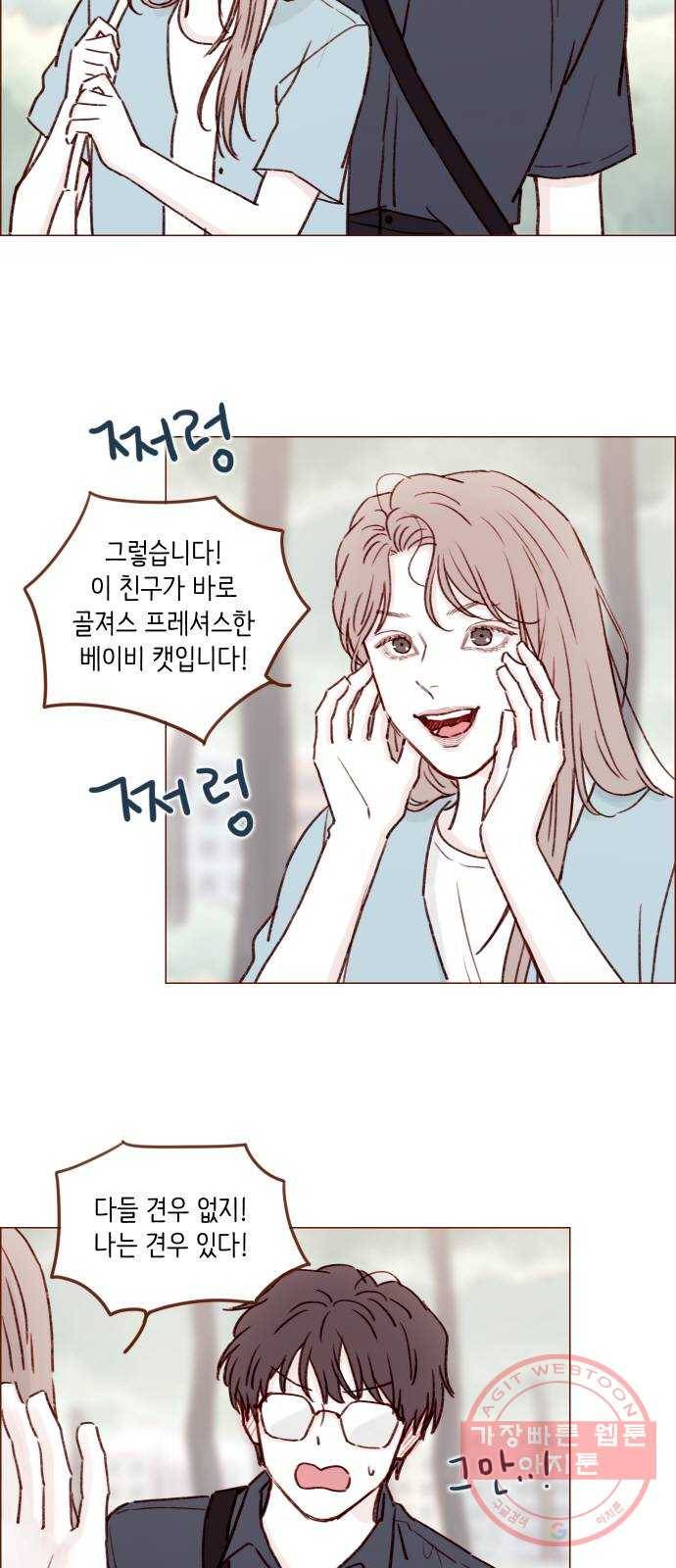 홍시는 날 좋아해! 181화 : 다들 견우 없지! 19