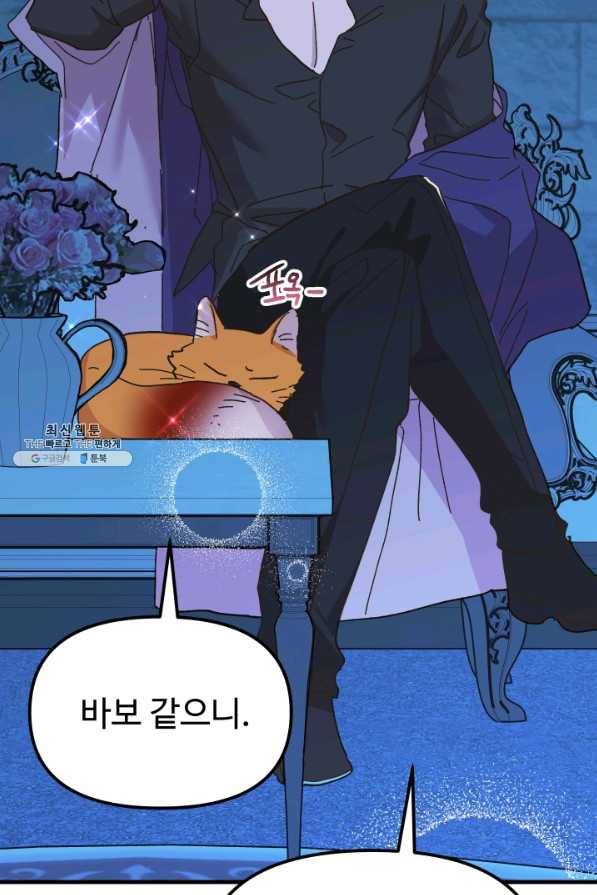 왕녀는 미친 척을 한다 57화 31