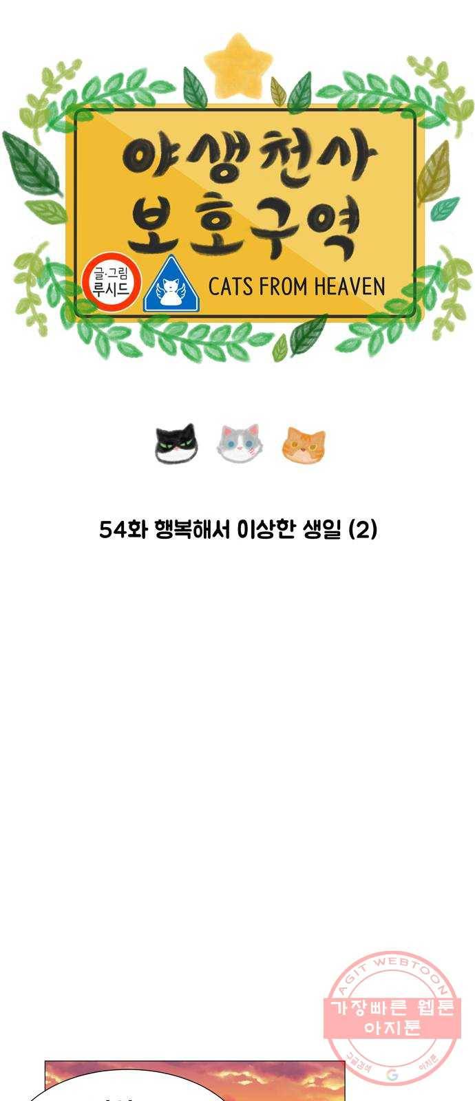 야생천사 보호구역 54화 행복해서 이상한 생일 (2) 7