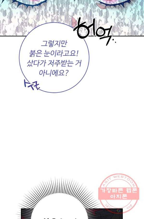 스폰테 데이 12화 8