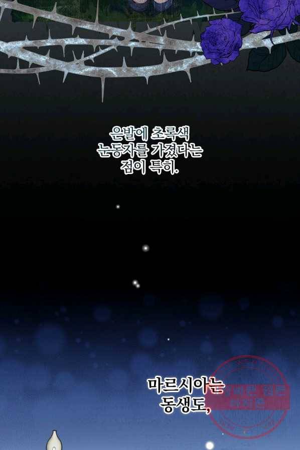 동화 속 악역의 완벽한 엔딩 플랜 2화 18