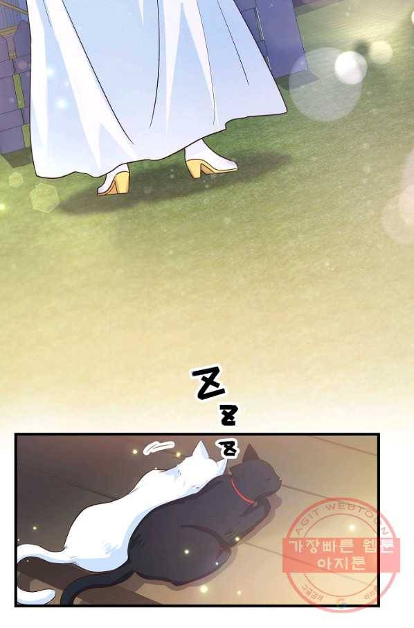 마법사를 위한 동화 15화 41