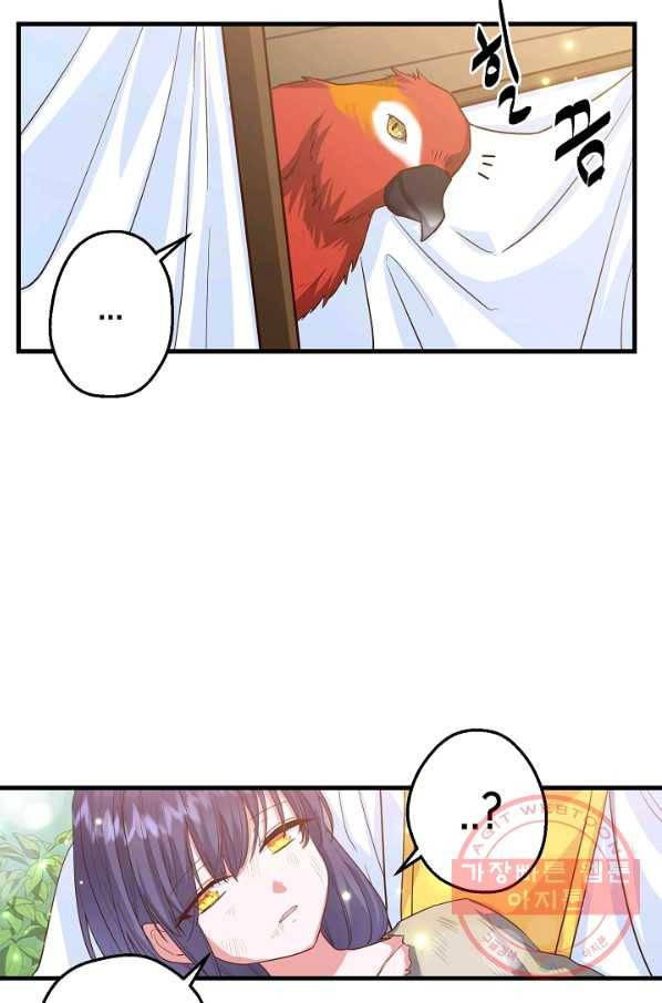 마법사를 위한 동화 15화 43
