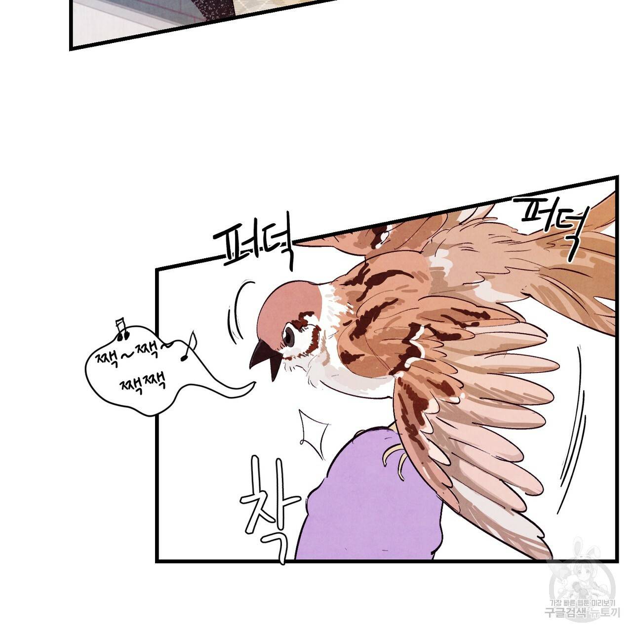 펀치 드렁크 러브 14화 14