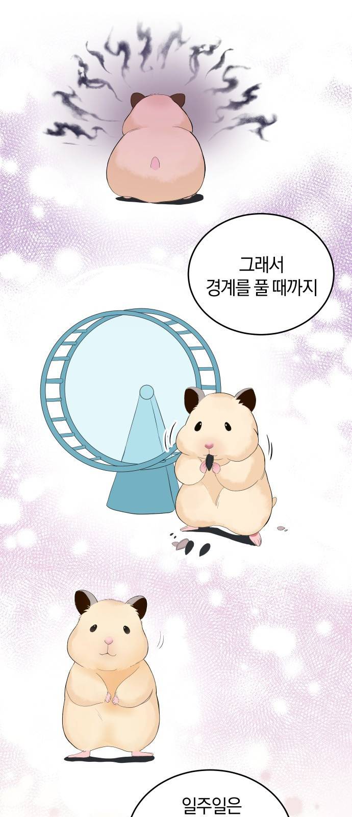 완벽한 결혼의 정석 38화 19
