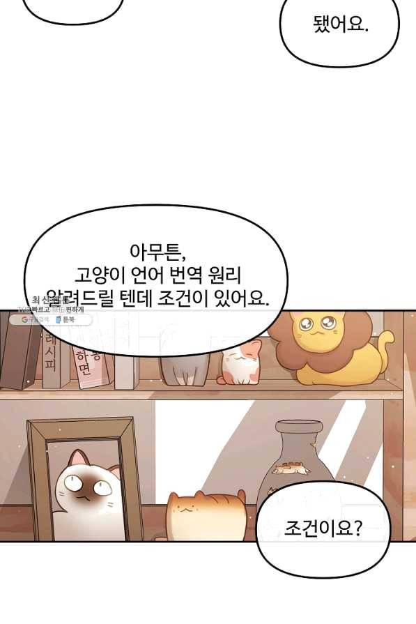 우리집 고양이는 베지테리언 25화 12