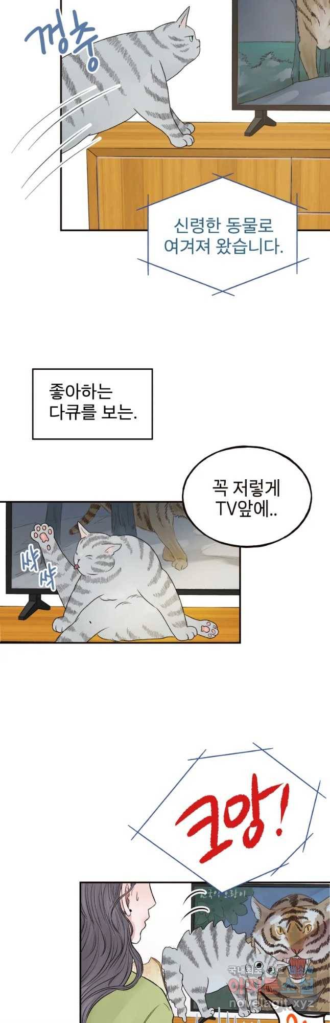 사람이라호 1화 3