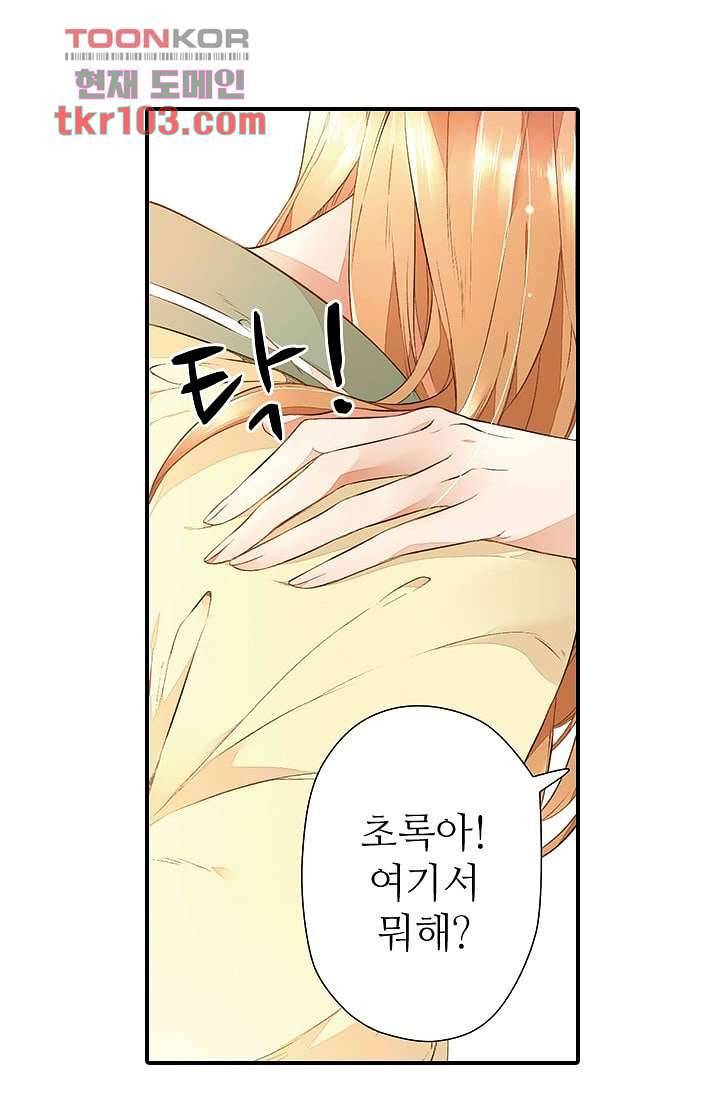 사랑은 앵초색 25화 22