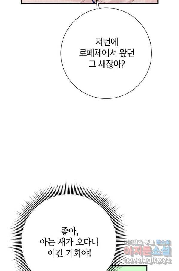 전령새 왕녀님 45화 3