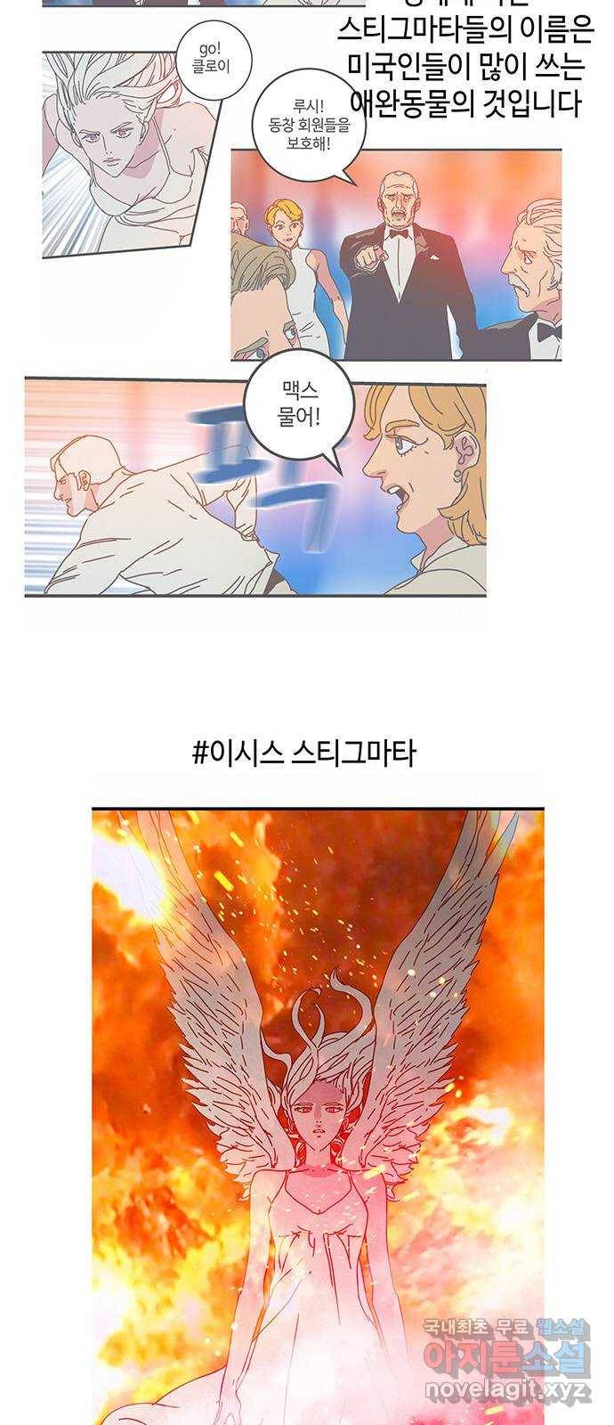 버그 후기 21