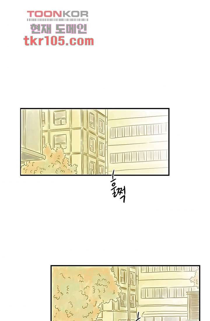 머리 위로 부는 바람 36화 1