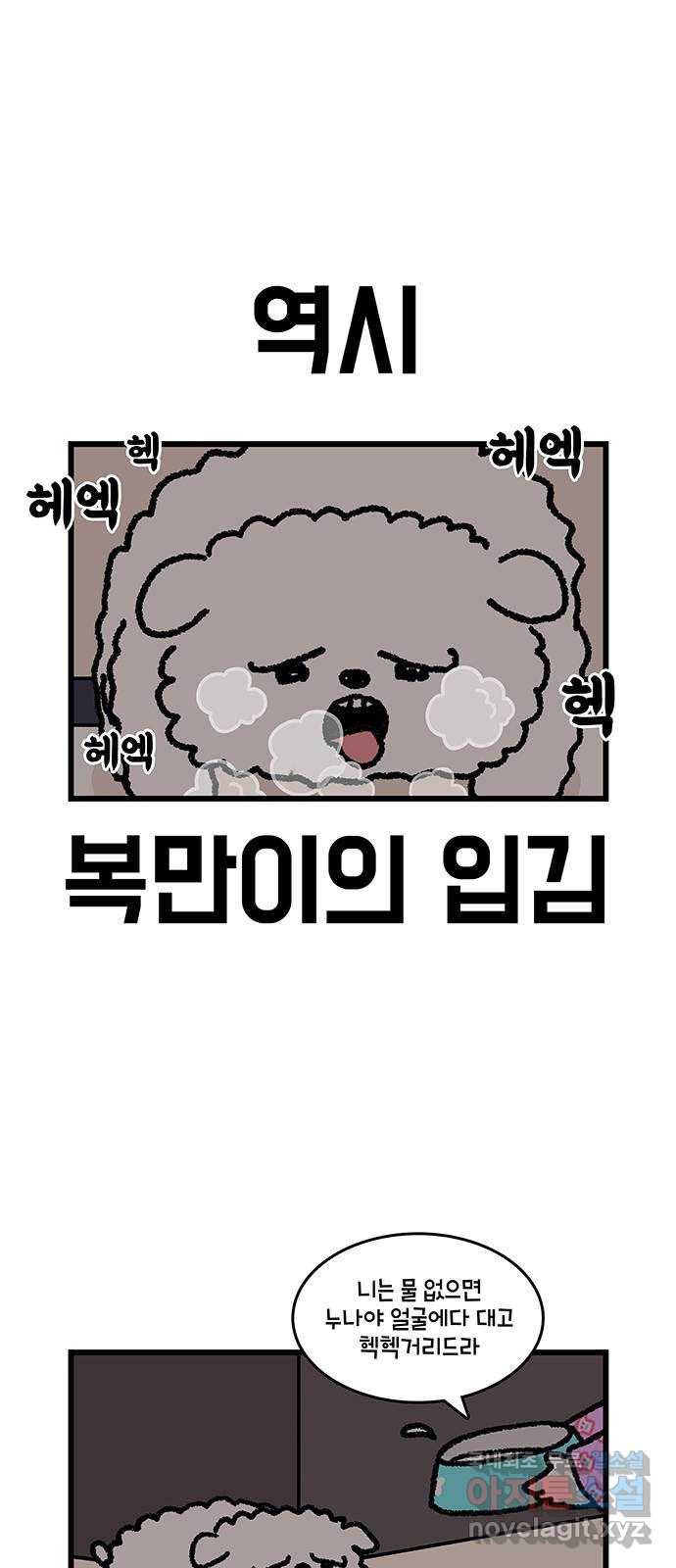윌유메리미 시즌2 574화 딩동 써니 복만_2／4(비명소리) 5