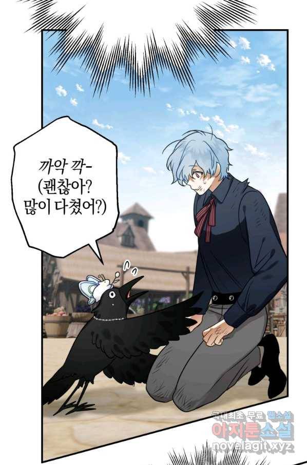 하필이면 까마귀가 되어버렸다 41화 35