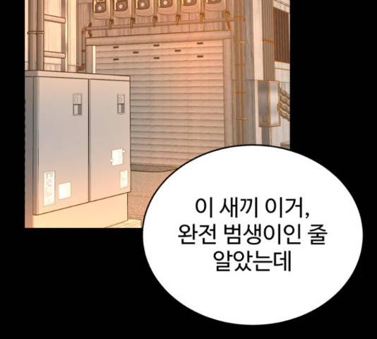 디나운스 19화 2