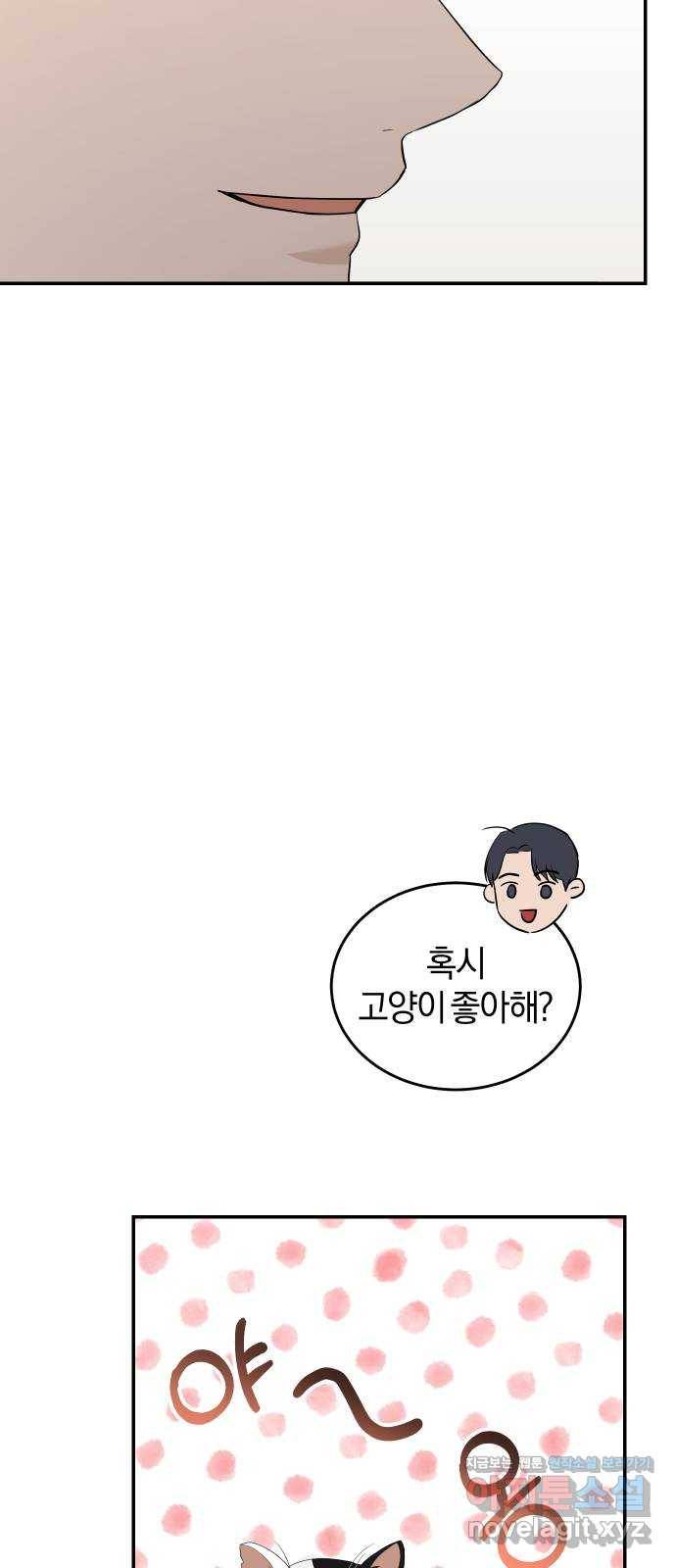완벽한 결혼의 정석 49화 55