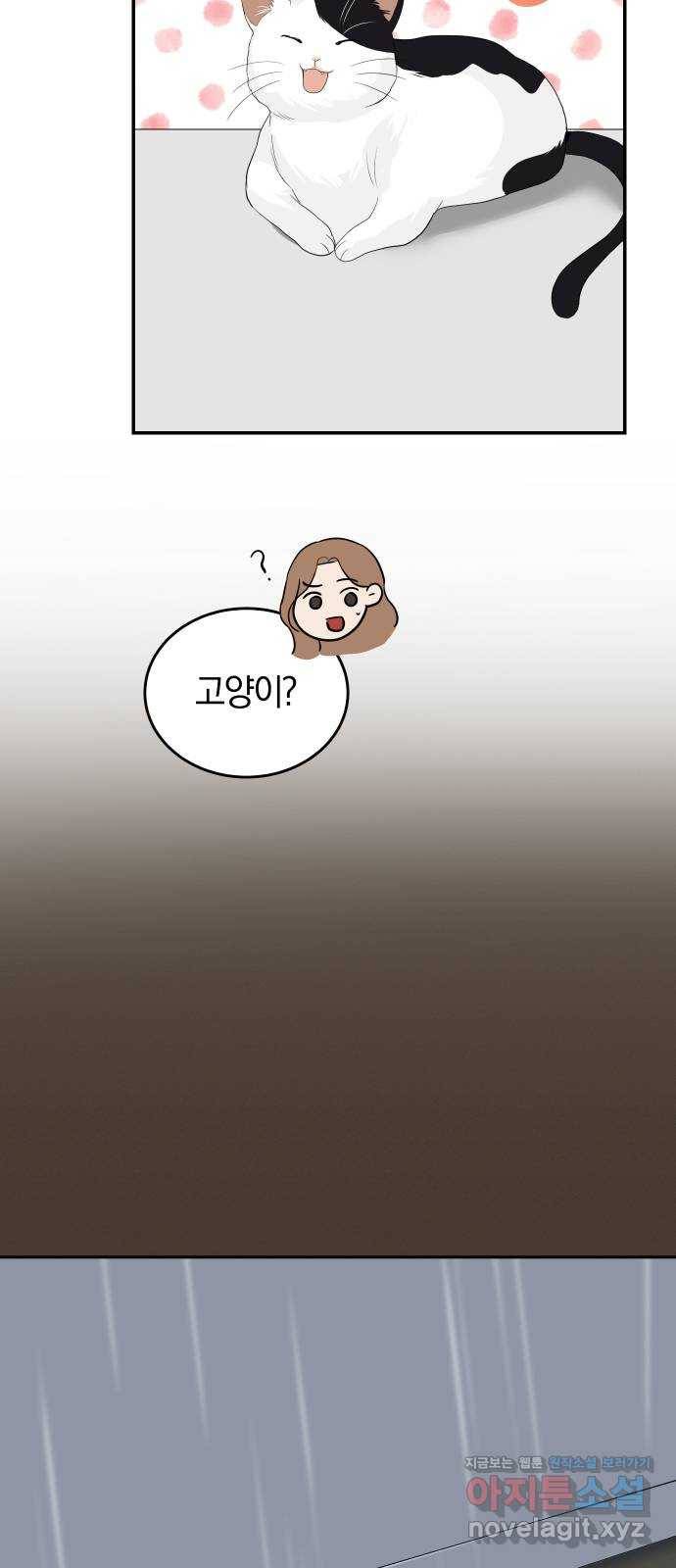 완벽한 결혼의 정석 49화 56