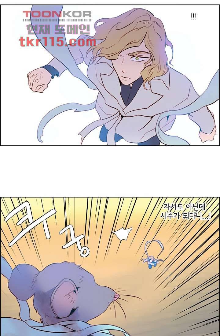 신시 41화 42